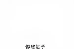 热搜词条起落图封面，五个词条热度曲线